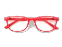 Imagen de GAFAS SALAMANDRA RED +3.50