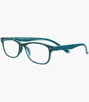Imagen de Gafas Salamandra Green Ii +1.50