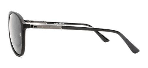 Imagen de GAFAS DE SOL PTF 1028 C2