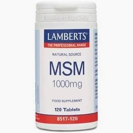 Imagen de Msm Lamberts 1000 Mg 120 Tabletas
