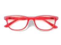 Imagen de GAFAS SALAMANDRA RED +3.50